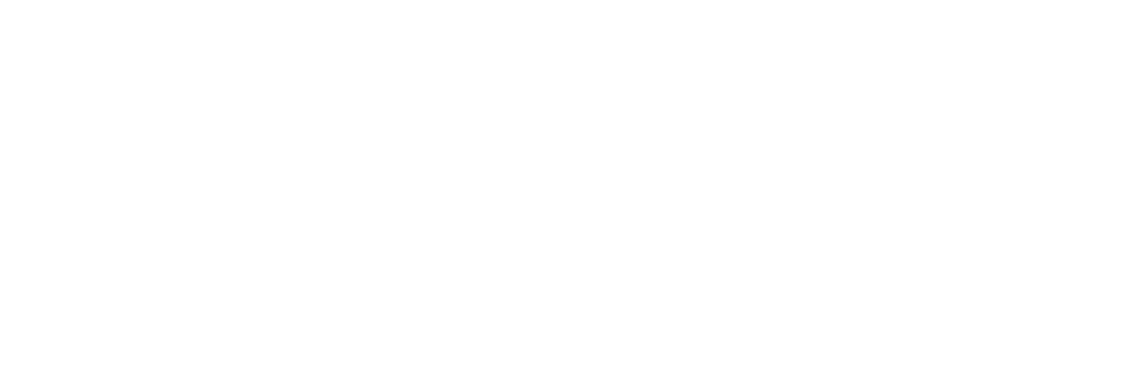 binge logo